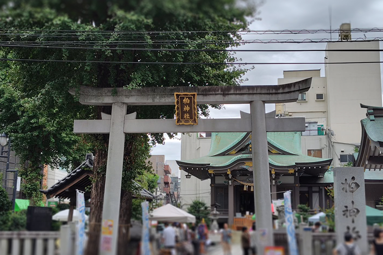 柏神社会場の画像